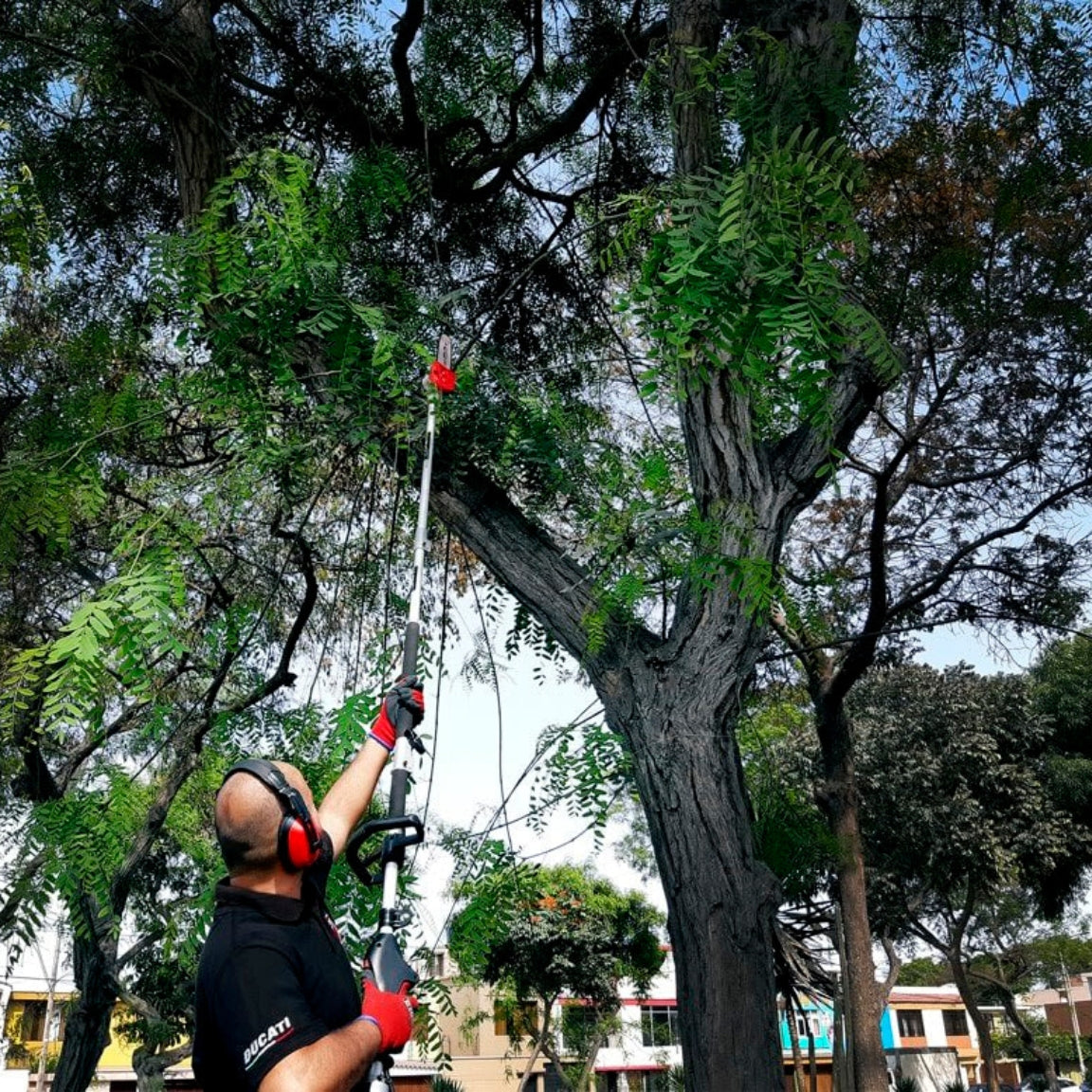 KIT MULTICUTTER DUCATI ORIGINAL / GUADAÑA / MOTOSIERRA / CORTASETOS MULTIFUNCIÓN 5 EN 1 / 1 AÑO DE GARANTIA